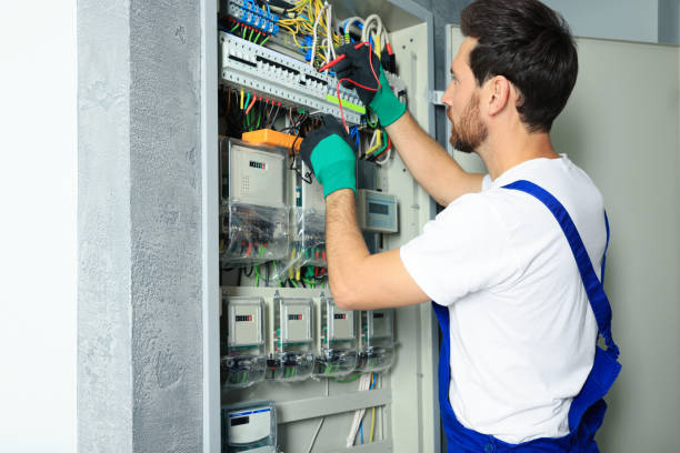 Best Electrical System Inspection  in Oostburg, WI