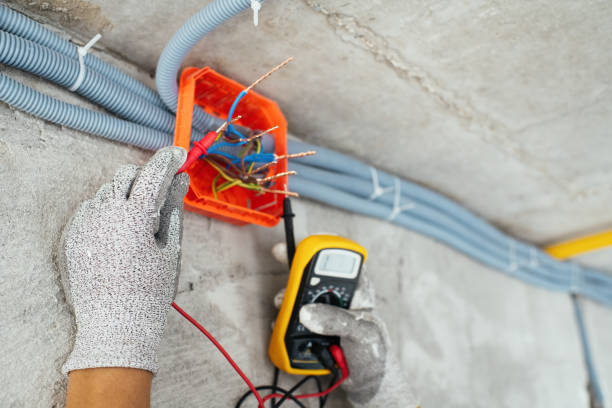 Best Electrical System Inspection  in Oostburg, WI